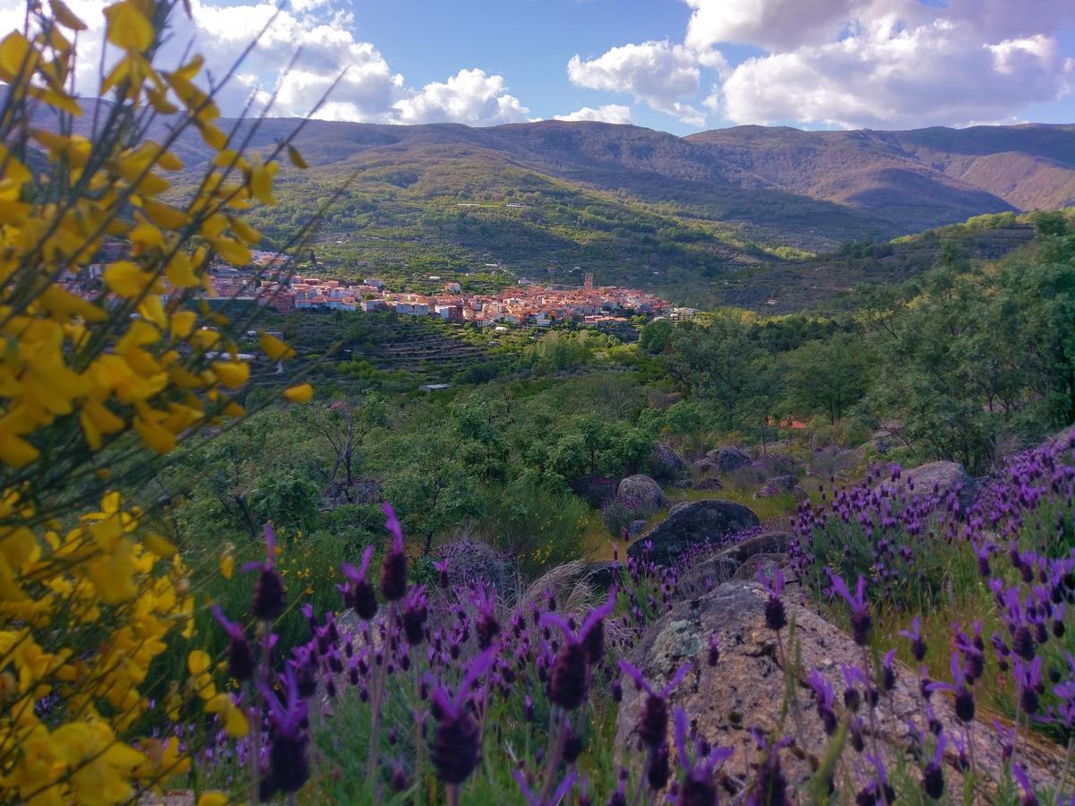 Hostal Yuste Garganta la Olla Esterno foto
